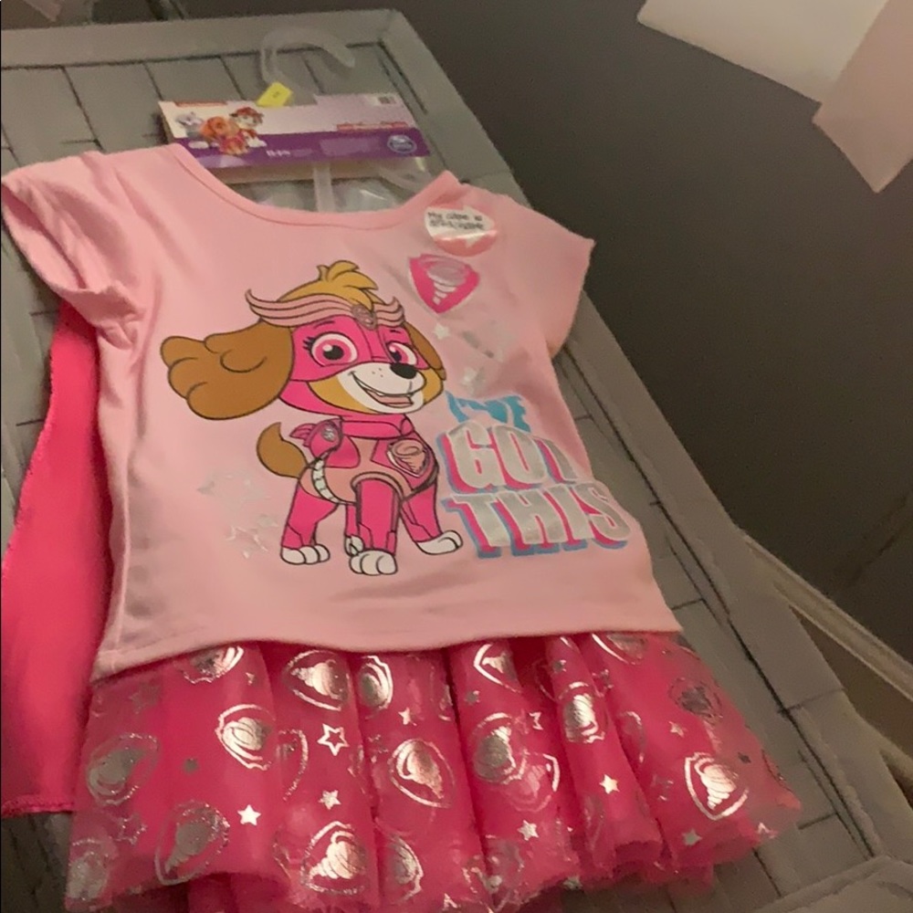 Paw patrol costume